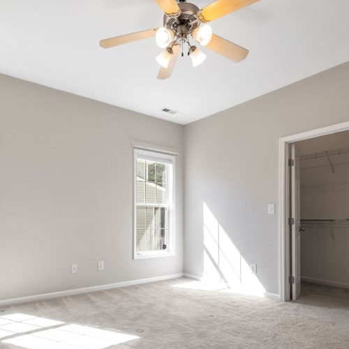 Move-Out Cleaning Services